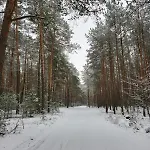 Rzeka, Plaza, Sauna, Kajaki - Plazowe Zacisze Kepa