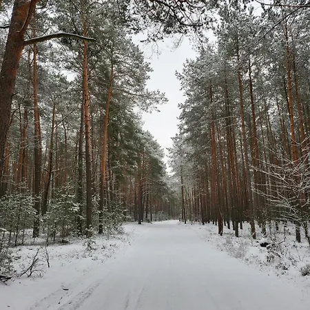 Rzeka, Plaza, Sauna, Kajaki - Plazowe Zacisze Kepa