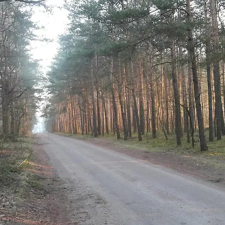 Rzeka, Plaza, Sauna, Kajaki - Plazowe Zacisze * Kepa