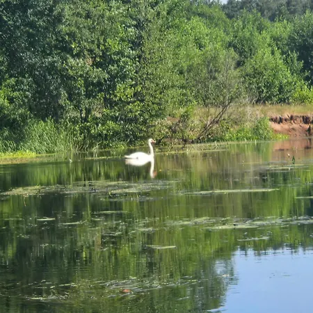 Rzeka, Plaza, Sauna, Kajaki - Plazowe Zacisze Kepa